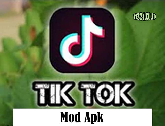 Download TikTok Mod Apk Terbaru 2021 (Tanpa Watermark, Like & Fans)