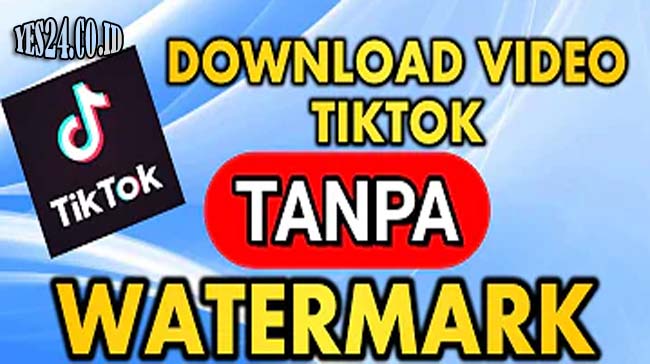 11 Cara Download Video TikTok Tanpa Watermark Terbaik 2021